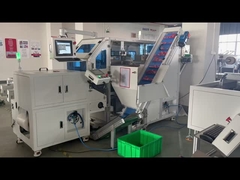 চিলি পাউডার প্যাকেটের জন্য স্বয়ংক্রিয় গণনা এবং প্যাকিং মেশিন