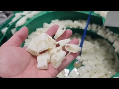 সিন্ট_বাটি ফিডারের সাথে প্লাস্টিকের অংশ