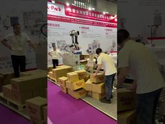 প্যালেট কার্গোর জন্য স্বয়ংক্রিয় প্যালেটাইজিং