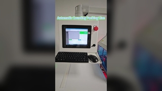 স্বয়ংক্রিয় গণনা প্যাকিং লাইন